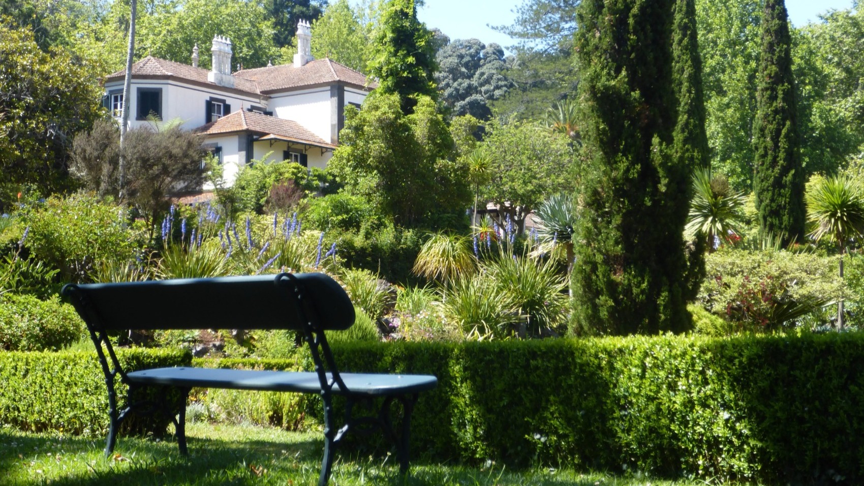 Madeira-Garden-Wine-and-Sidecar-Tour-Botanical-house