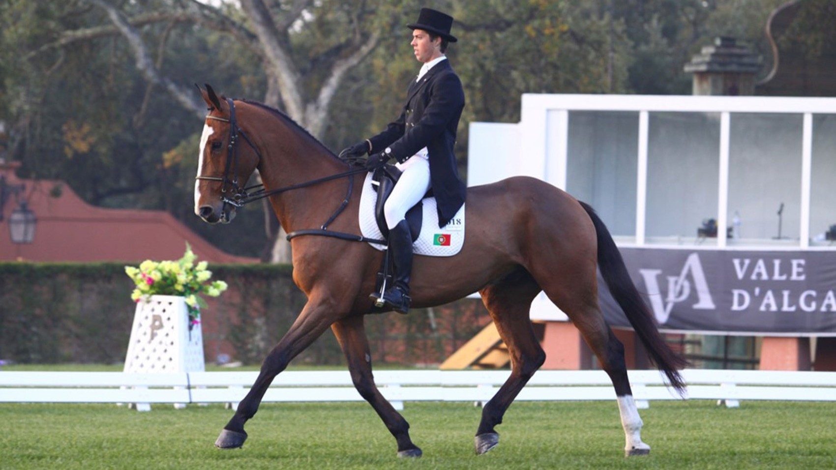 Modern & Hip Wine Estate Competition