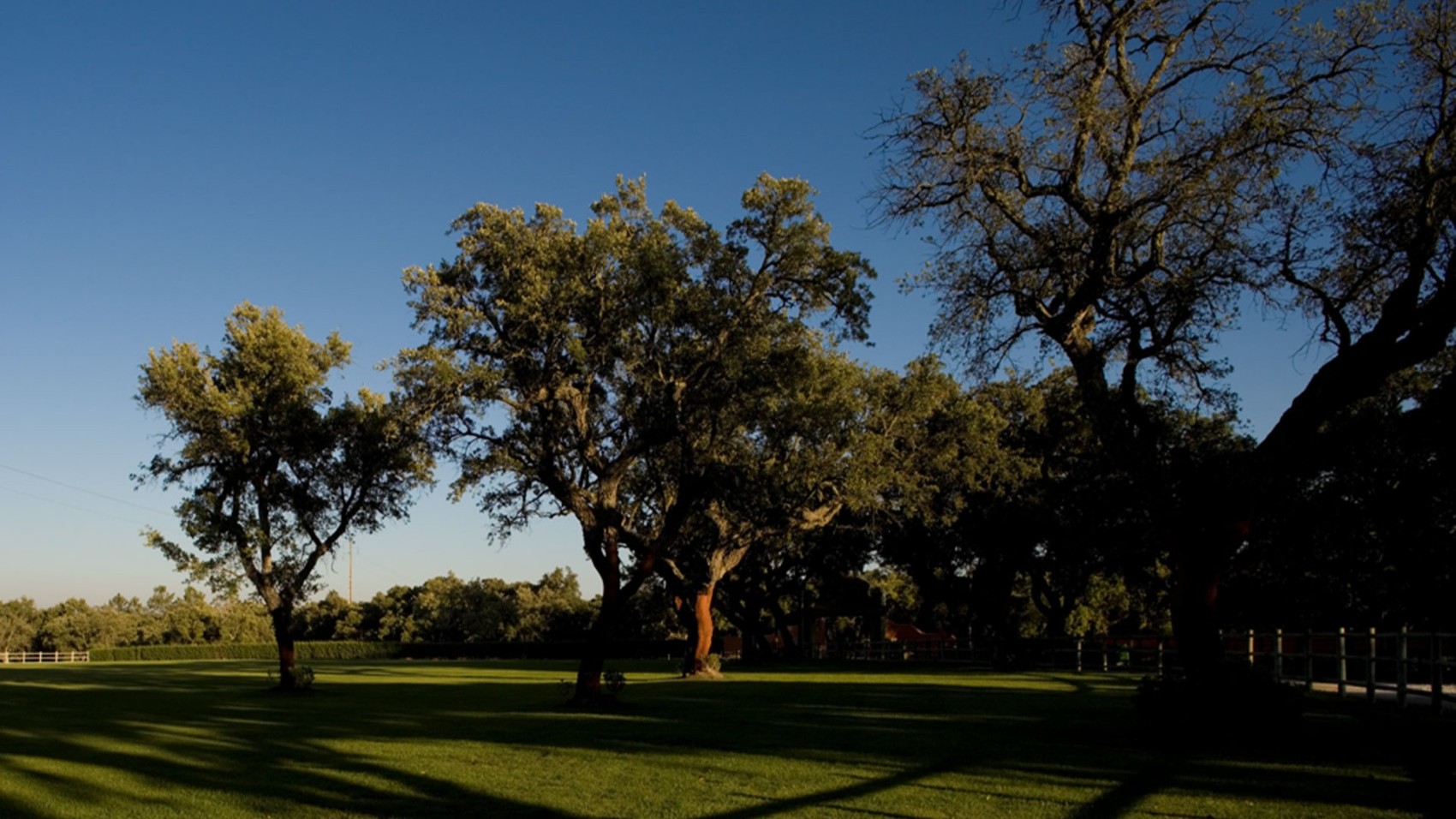 Modern & Hip Wine Estate Garden