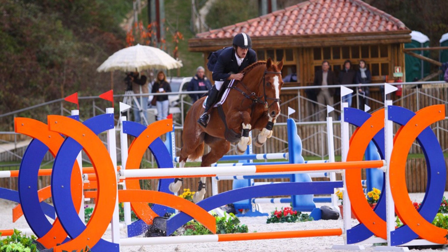 Modern & Hip Wine Estate Competition