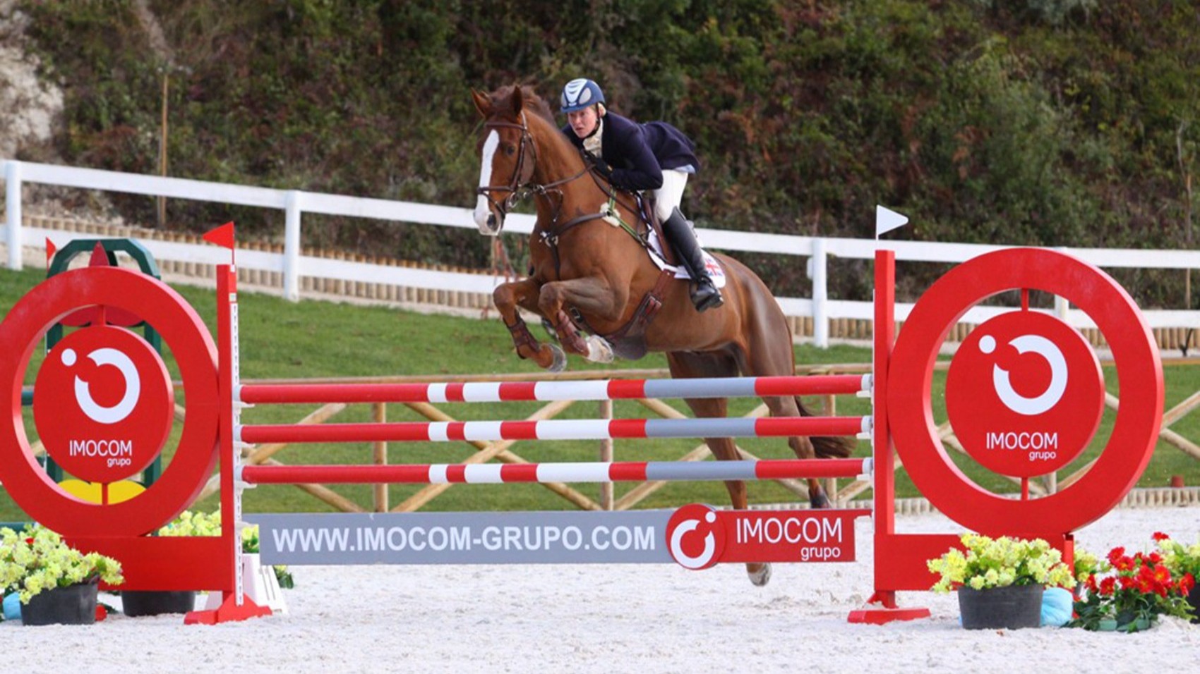 Modern & Hip Wine Estate Horse