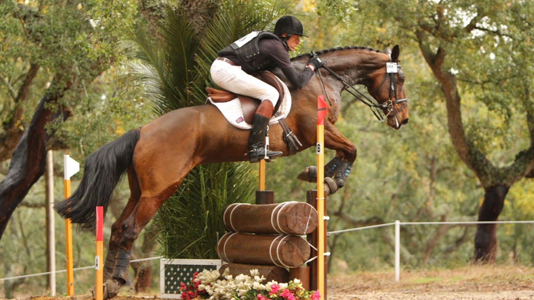 Modern & Hip Wine Estate Horses