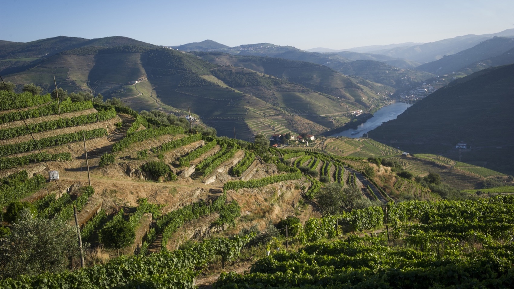 Most Exclusive Wineries & Douro Valley Typical Boat