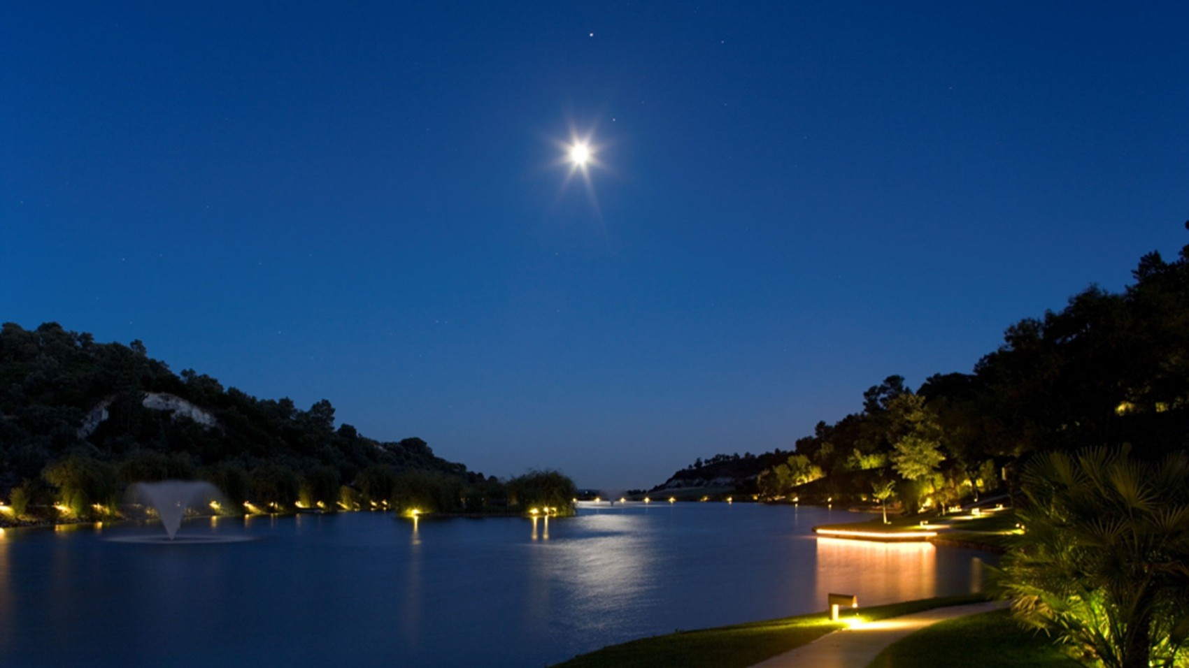 Night Modern & Hip Wine Estate 