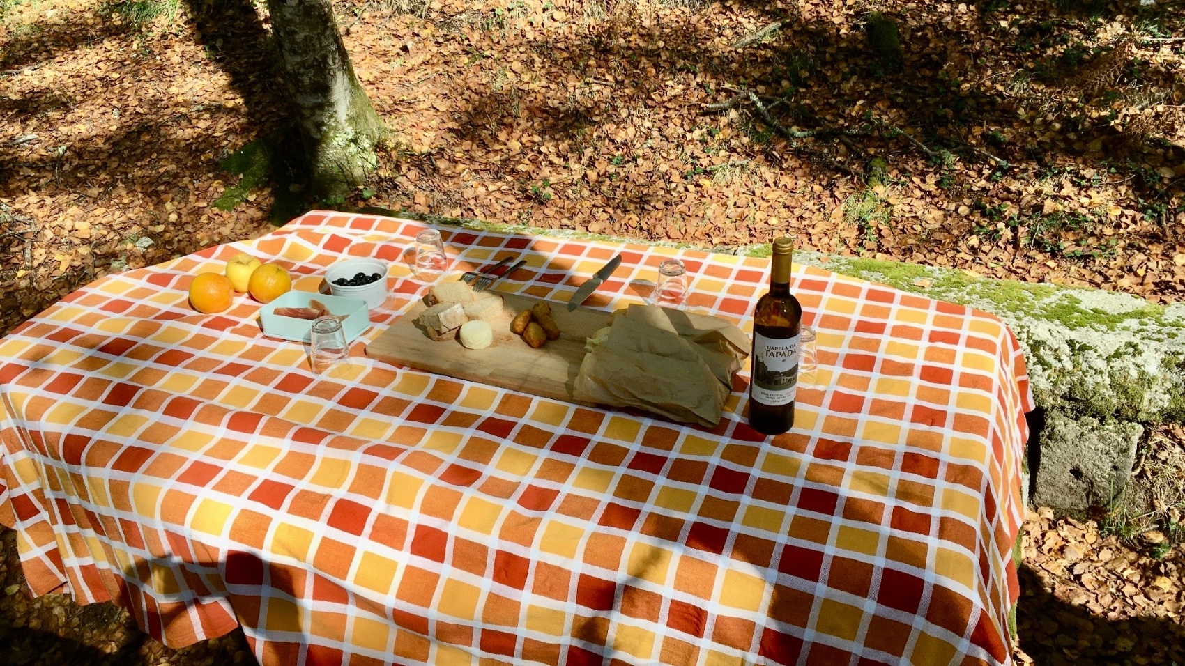 Northern Portugal Active Short Break picnic