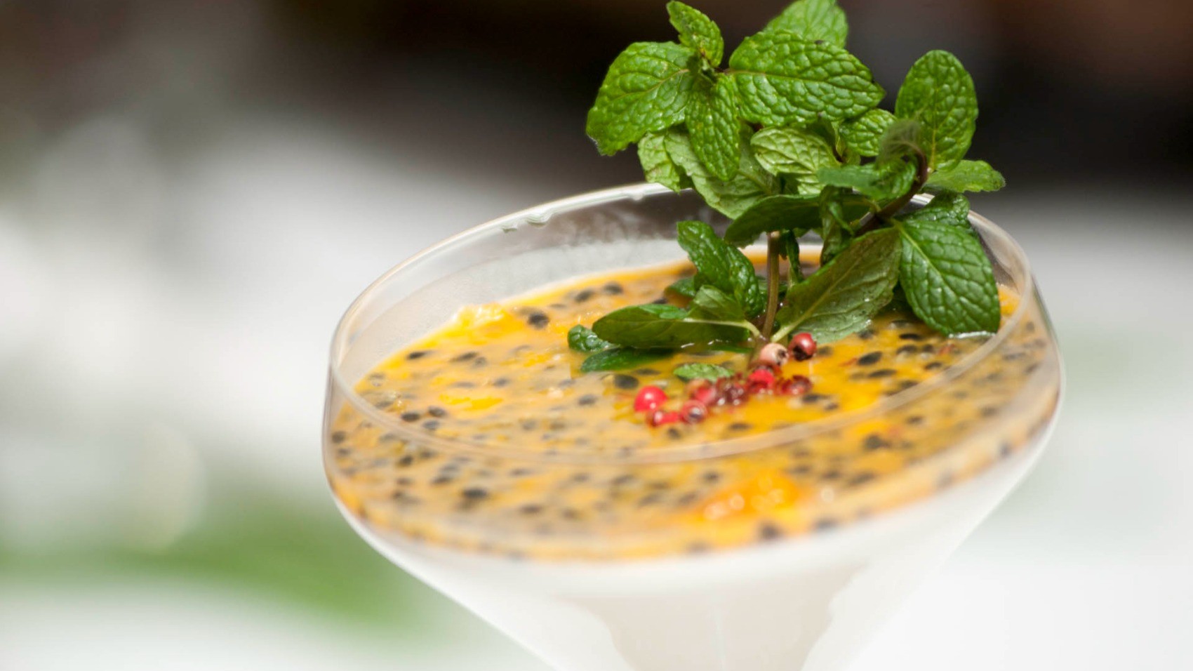 Panacotta TN Restaurant
