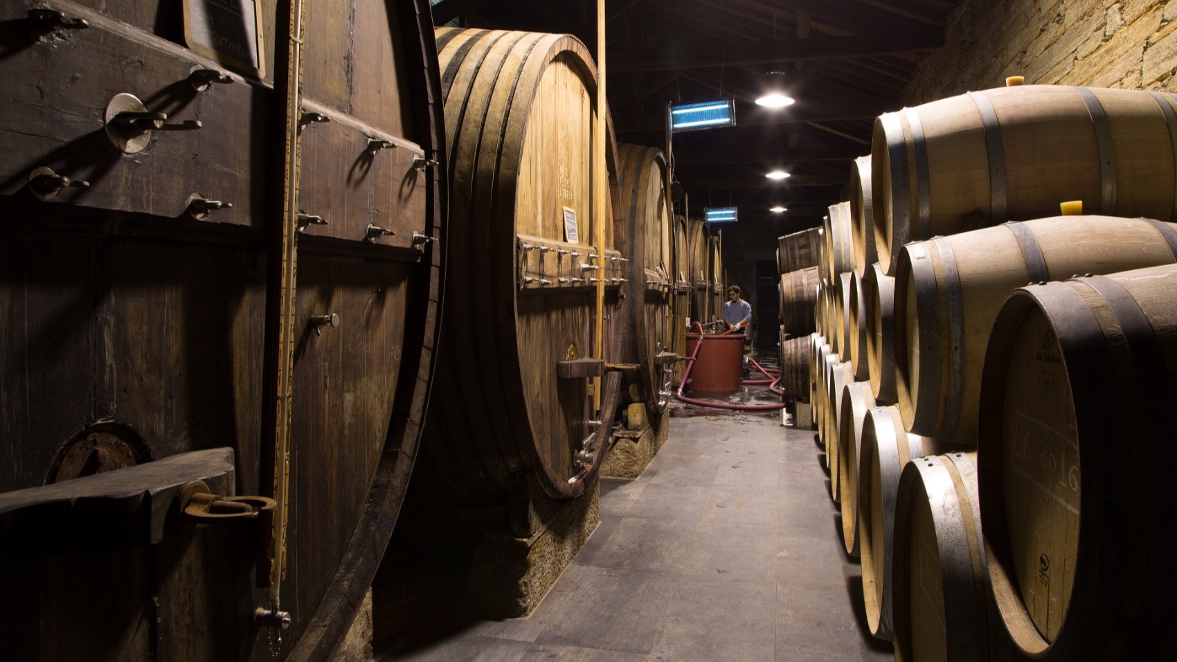 Porto Food Wine Journey ct winery wine barrels