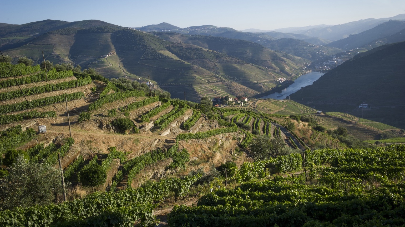 Porto Food Wine Journey Douro
