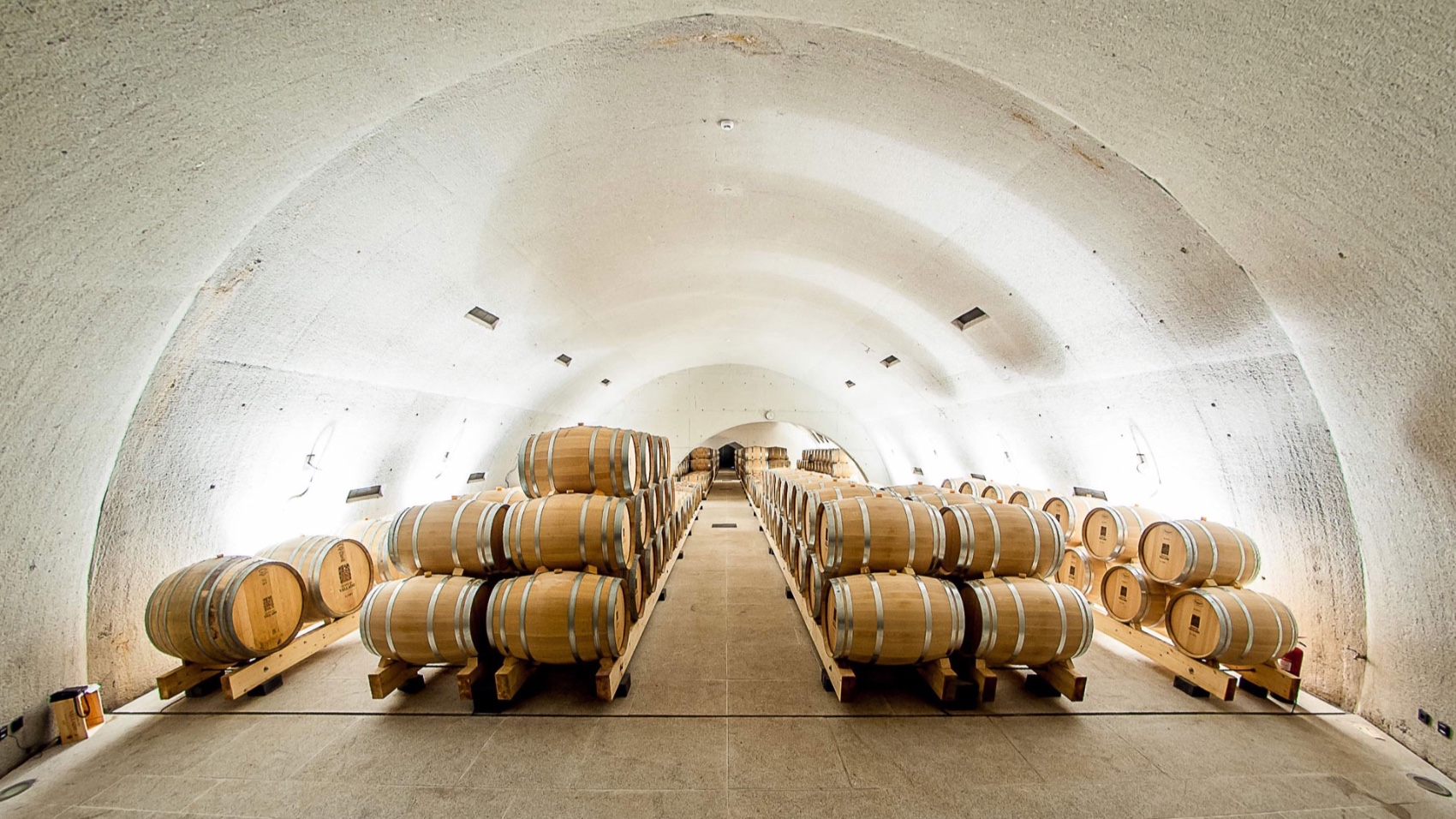 Porto Food Wine Journey VL winery barrels