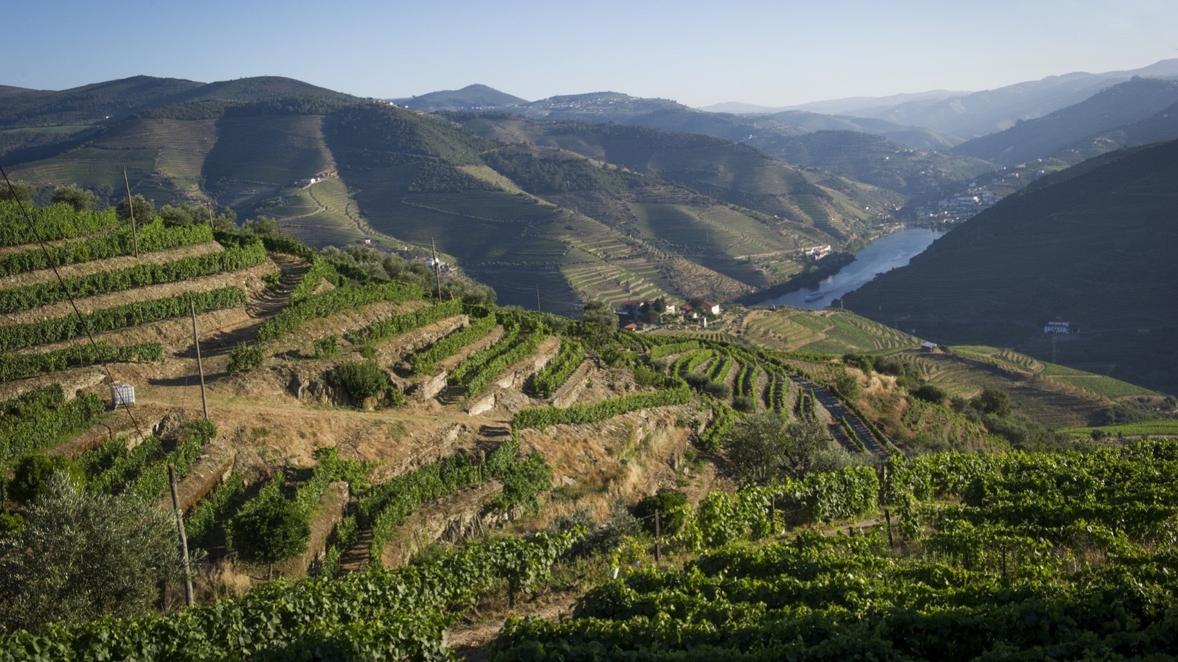 Porto Surrounding for Wine Lovers coopers douro valley