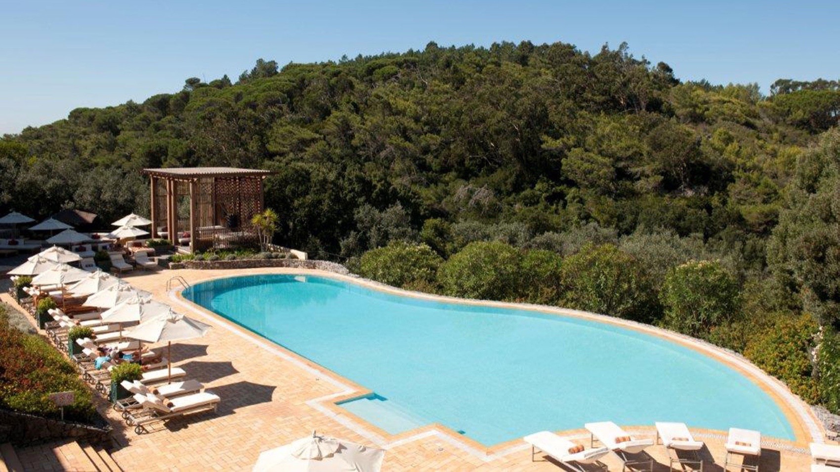 Resort Pool Golf