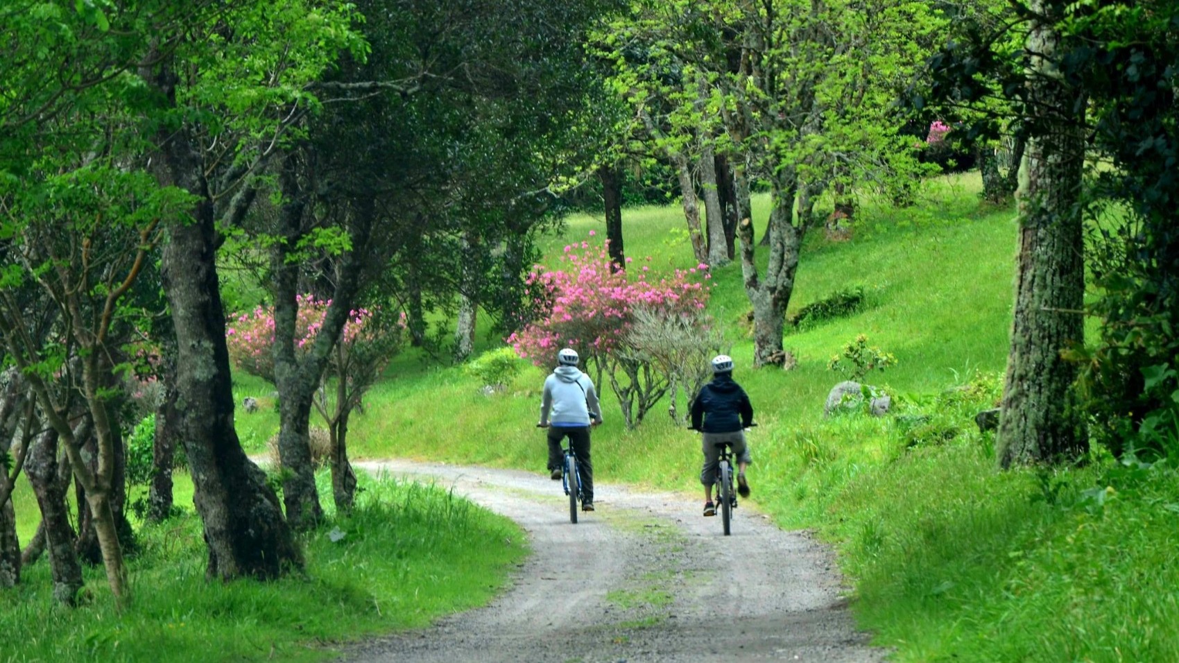 Sete-Cidades-by-ebike+picnic-bike-azores-sete-cidades