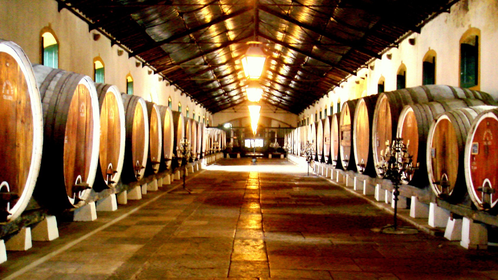 Sintra-Classic-Journey-With-local-Winery-ARC-Winery-barrels