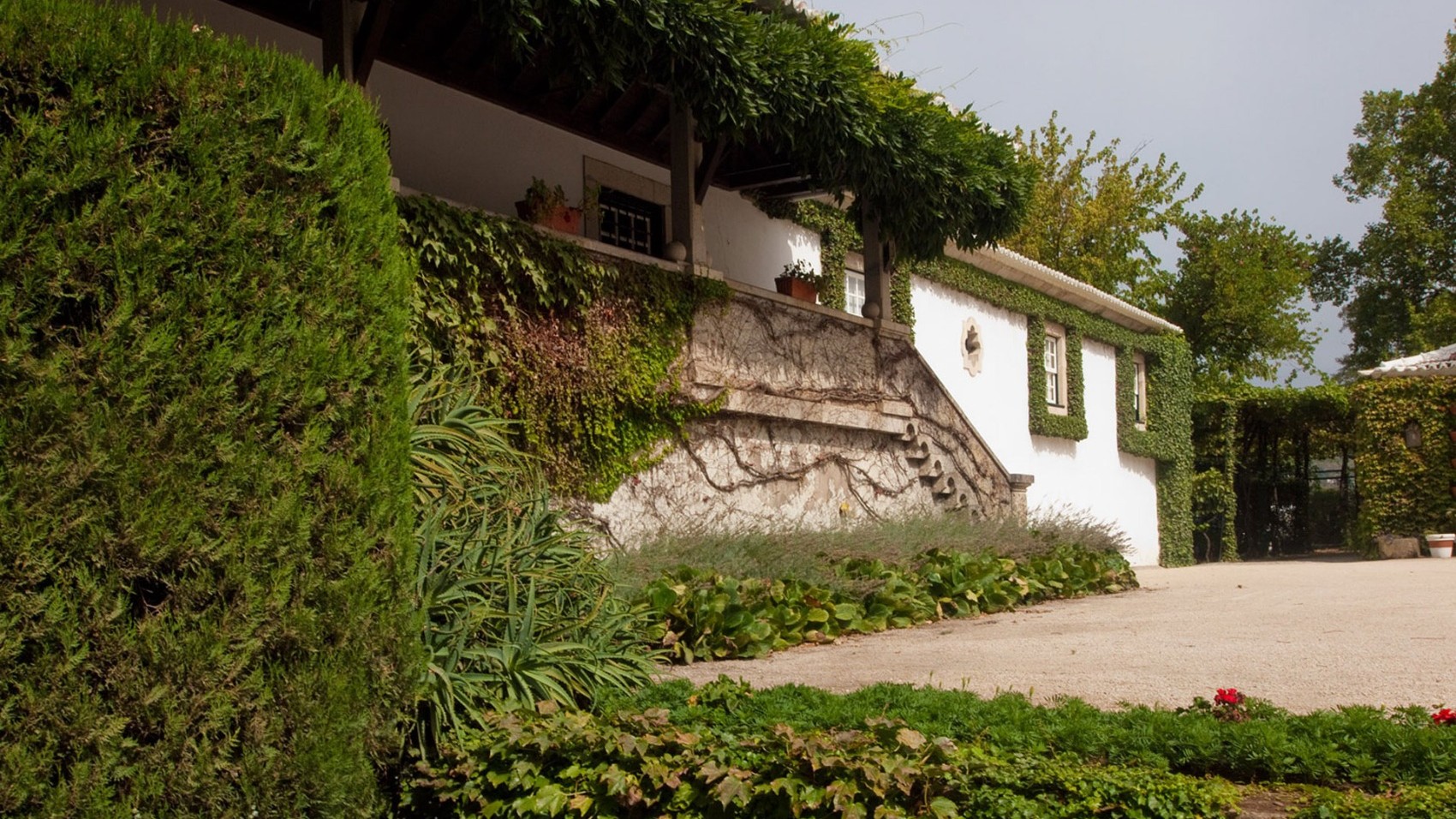 Traditional Wine Lodge Garden