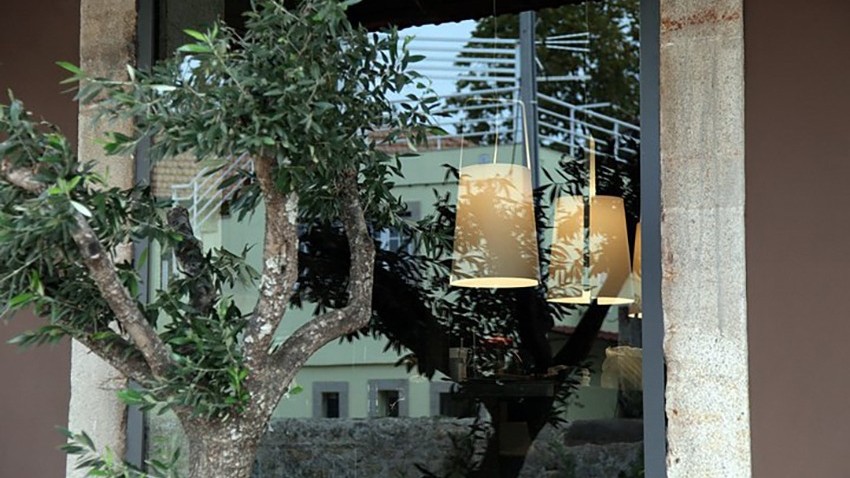 Tree CV Restaurant