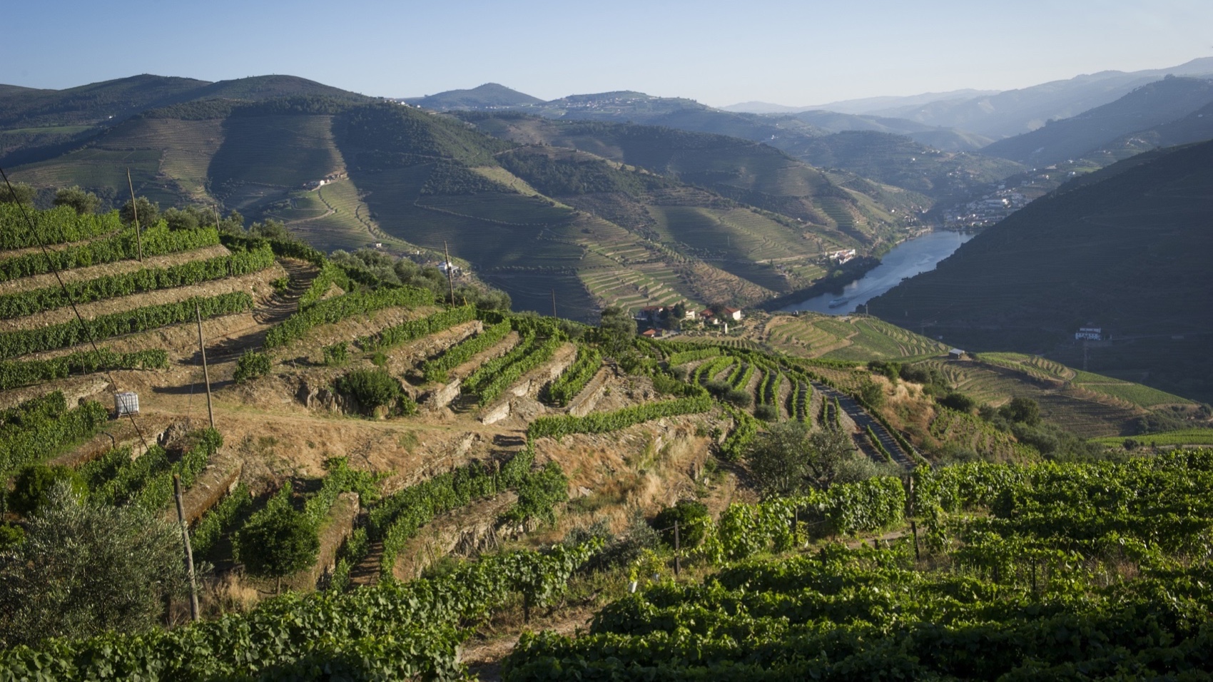 Valley Douro Finest Wines and Scenic Cruise